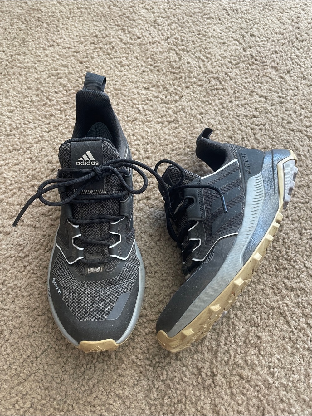 Adidas Terrex Hiking Shoes